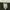 Sweater Visvim Vneck Wool Patern Color Grey photo 2