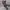 Archon Tactical Cargo Pants