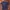 Polo Classic Vintage Casual Polo shirt Pria navy photo 2