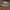 Vans Sneakers Pria green photo 1