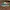 Vans Sneakers Pria Green
