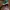 Vans Sneakers Pria green photo 3