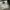 Oversize Boxy Hoodie Spring 2020 MSCHF