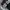 Vintage Mercedes Benz F1 Jacket  photo 2