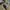 Skirt Wanita brown photo 5