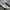 PUMA SPEEDCAT OG photo 2
