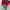 VANS AUTHENTIC REDCHILI photo 7