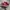 VANS AUTHENTIC REDCHILI photo 1