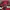 Vintage 90's Nike Sportswear Supreme reference photo 6