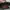 vans autentic photo 5