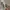 guess photo 3
