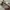 guess photo 5