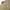 Vintage Casual Windbreaker Pria tan photo 4