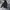 hoddie carhartt spellout DKB photo 1