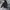 Hoddie Carhartt Spellout DKB