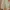 Semantic Design Streetwear Short Pria khaki photo 3