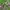 CELANA CARGO CAMO FREE KNIGHT  photo 8