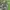 CELANA CARGO CAMO FREE KNIGHT  photo 5
