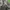 CELANA CARGO CAMO FREE KNIGHT  photo 7