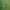 CELANA CARGO CAMO FREE KNIGHT  photo 4