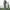 CELANA CARGO CAMO FREE KNIGHT  photo 2