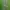CELANA CARGO CAMO FREE KNIGHT  photo 3