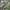 CELANA CARGO CAMO IP ZONE photo 7