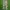 CELANA CARGO CAMO IP ZONE photo 4