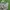 CELANA CARGO CAMO IP ZONE photo 8