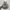 Salomon xt-6 gore Tex brown photo 2