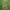 CELANA CARGO CAMO CSBAL photo 4