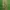 CELANA CARGO CAMO CSBAL photo 5