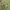 CELANA CARGO CAMO CSBAL photo 8