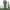 CELANA CARGO CAMO CSBAL photo 1