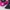 Carvela heels photo 5
