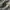 CELANA CARGO CAMO NOVIGO  photo 7
