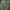 CELANA CARGO CAMO NOVIGO  photo 5