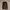 Polo ralph lauren dark brown photo 1