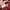 Adidas Vintage Casual Track jacket Pria white red photo 8