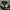Japanese brand Streetwear Cardigan Pria cream black photo 5