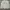 Kappa Streetwear Skater Sweater Pria Gray