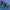 Helly Hansen Daybreaker Fleece photo 4