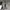 Converse Casual Sneakers Pria black photo 5