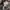 Japanese brand Streetwear Sweatshirt Pria multicolor photo 8