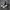 Converse Casual Sneakers Pria white black photo 4