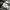Converse Casual Sneakers Pria white black photo 6