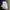 Jersey Juventus 2015-2016 Del Piero vintage second photo 6