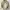 Vintage Light Jacket Gucci Back Pocket Arkansas Monogram GG photo 2