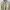 Vintage Light Jacket Gucci Back Pocket Arkansas Monogram GG photo 1