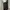 BLACK JEANS UNKNOWS REGULAR FIT SECOND ORIGINAL photo 3